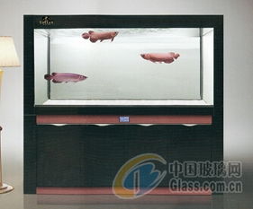 成都托田經(jīng)典水族用品廠 魚缸輔助用品及配件產(chǎn)品報價與供應商優(yōu)勢解析