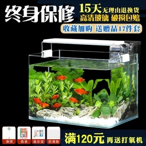 超白草缸 打造水底綠洲，從精選魚缸與寵物配件開始
